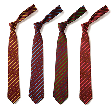 SCHOOL TIES