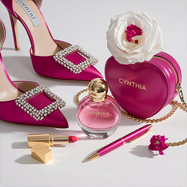 EXCUTIVE LADIES ACCESSORIES